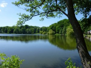 Stadtpark Außenmühle