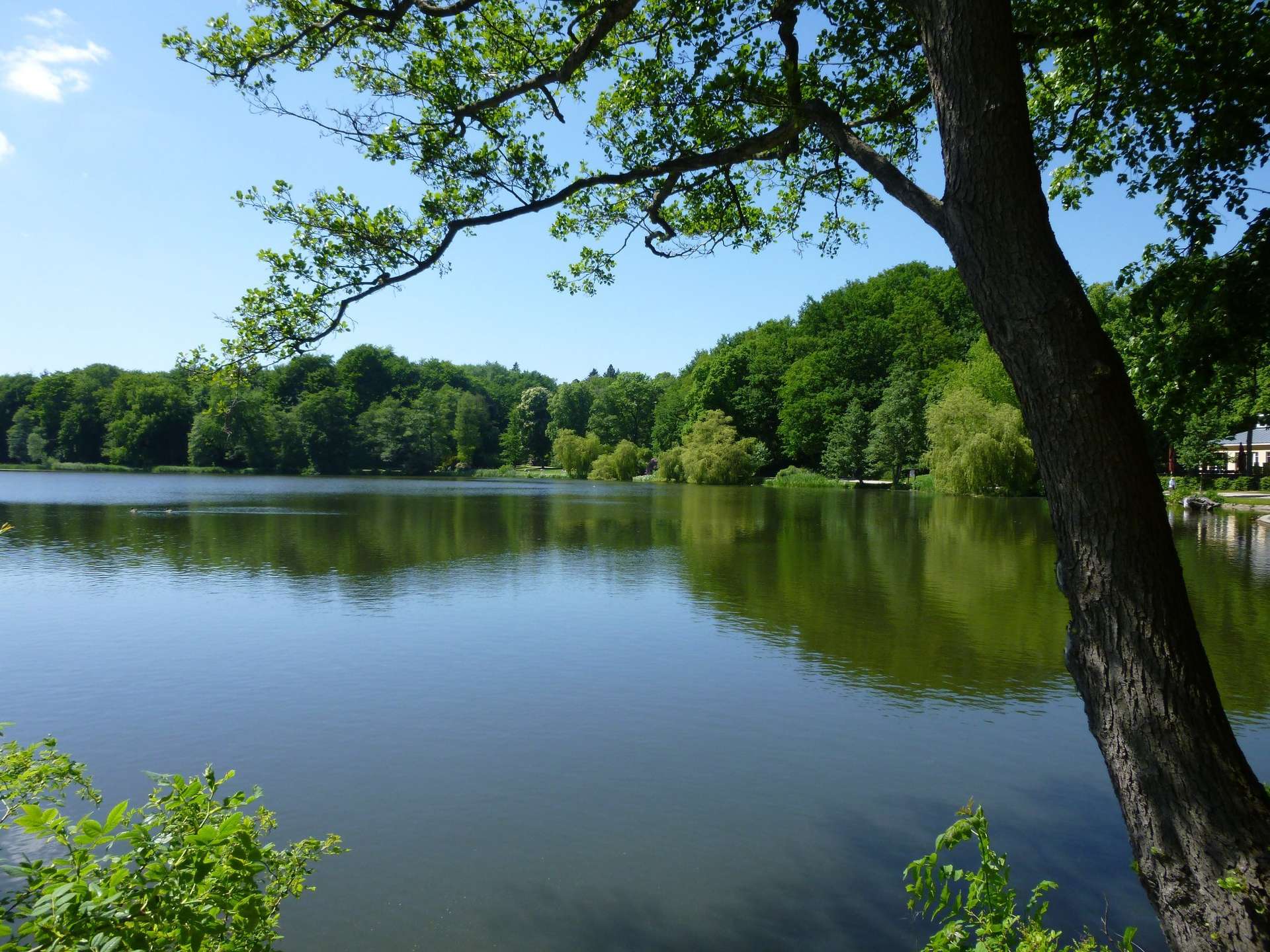 Stadtpark Außenmühle