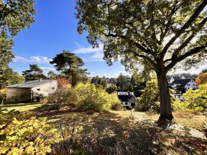 Südhang mit Plateau