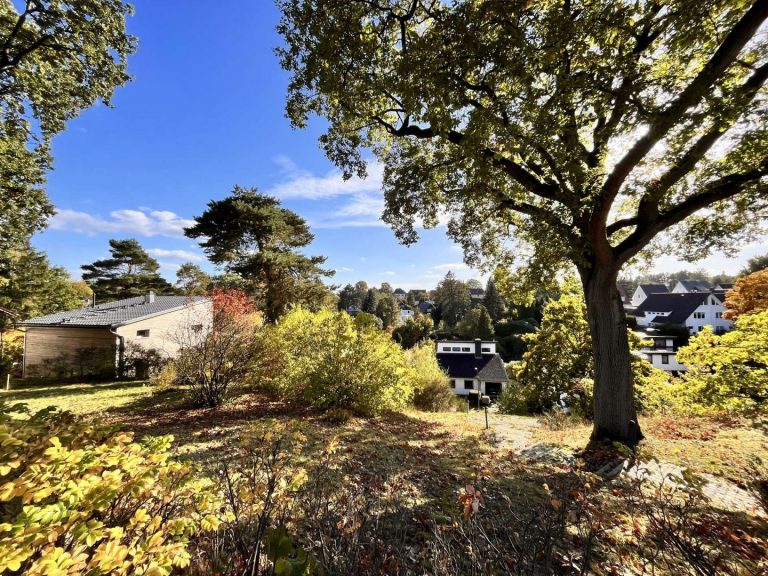 Südhang mit Plateau