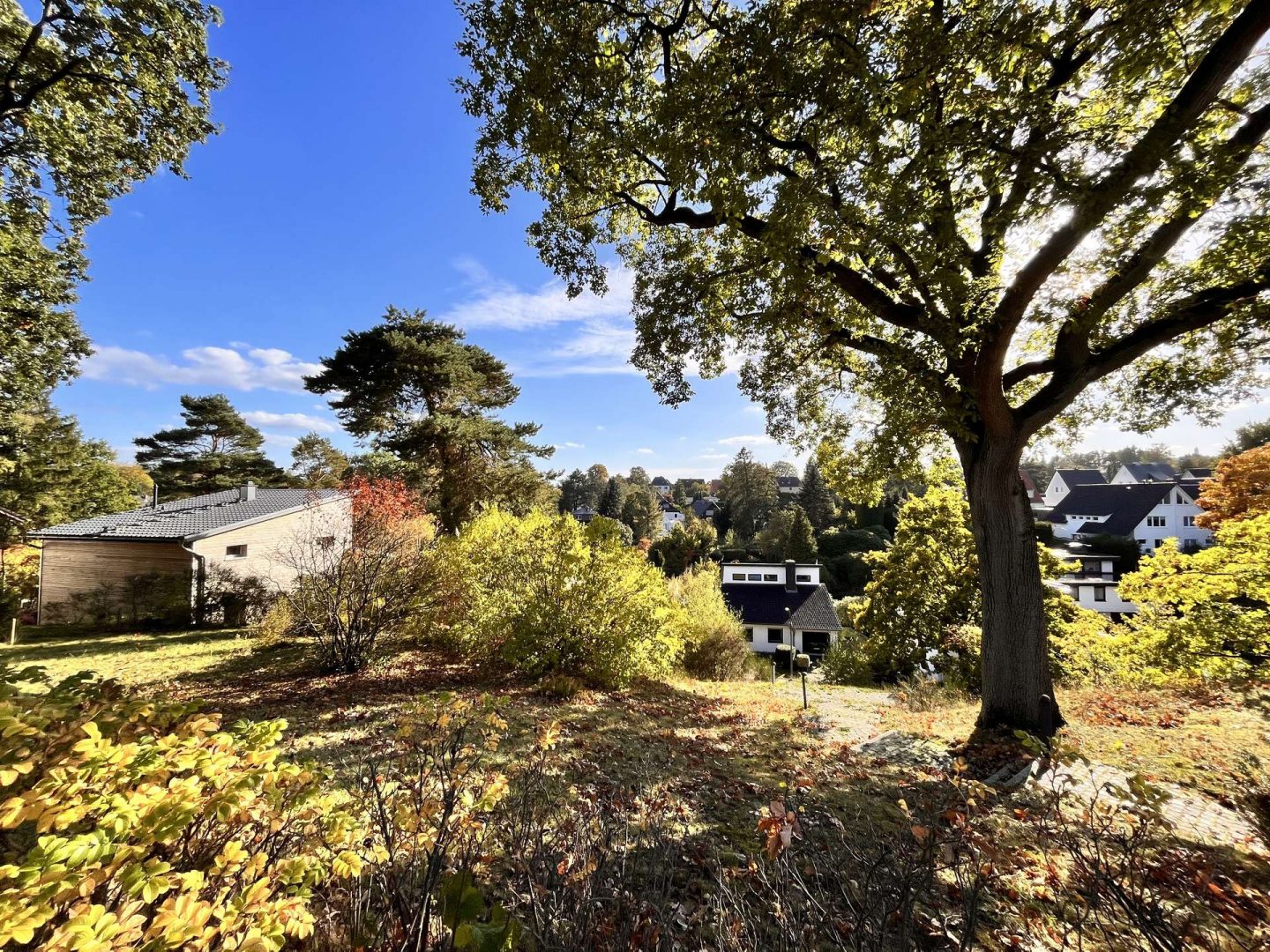 Südhang mit Plateau