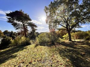Südgrundstück zum Träumen