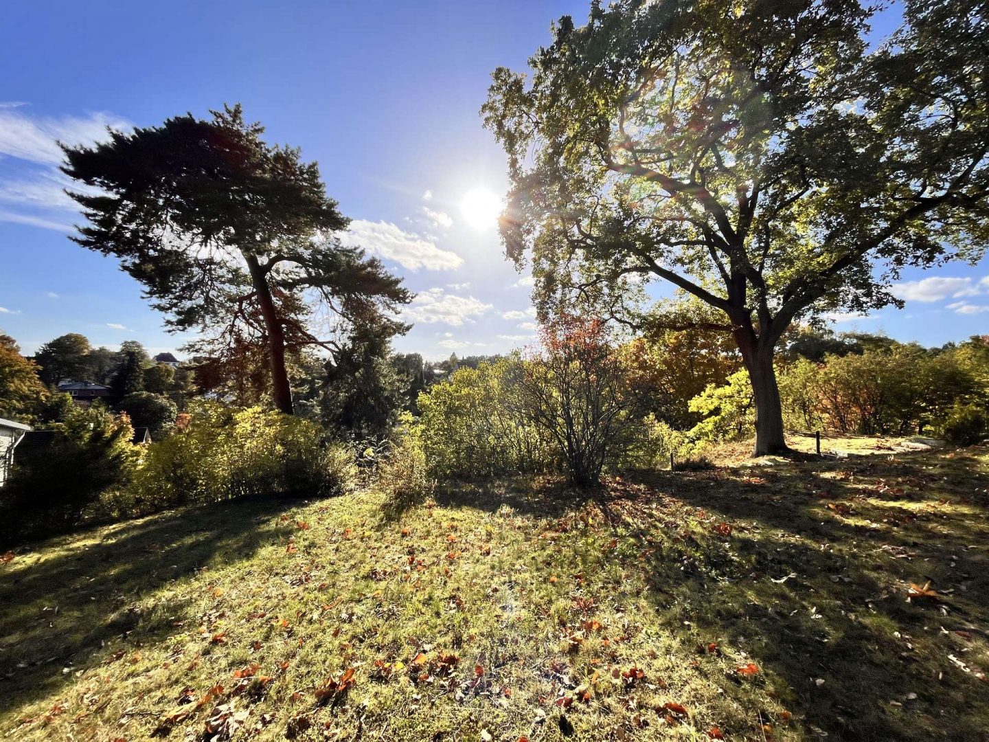 Südgrundstück zum Träumen