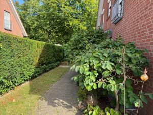 Westansicht